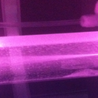 xenon