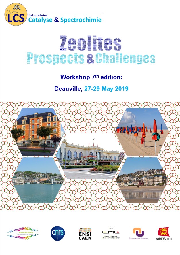 ZeoliteWS